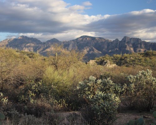 Oro Valley Weather