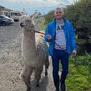 MrAlpaca77