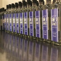 Gin is bottled😃