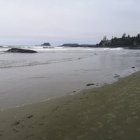 Chesterman Beach (Tofino) - All You Need to Know BEFORE You Go