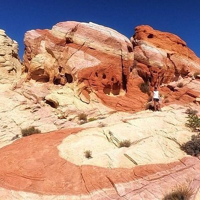 THE 15 BEST Things to Do in Henderson - UPDATED 2021 - Must See