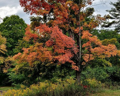 THE 10 BEST Pittsburgh Parks (Updated 2023) - Tripadvisor