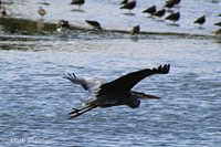 The Badger's Kitchen - Brandon Marsh Nature Reserve