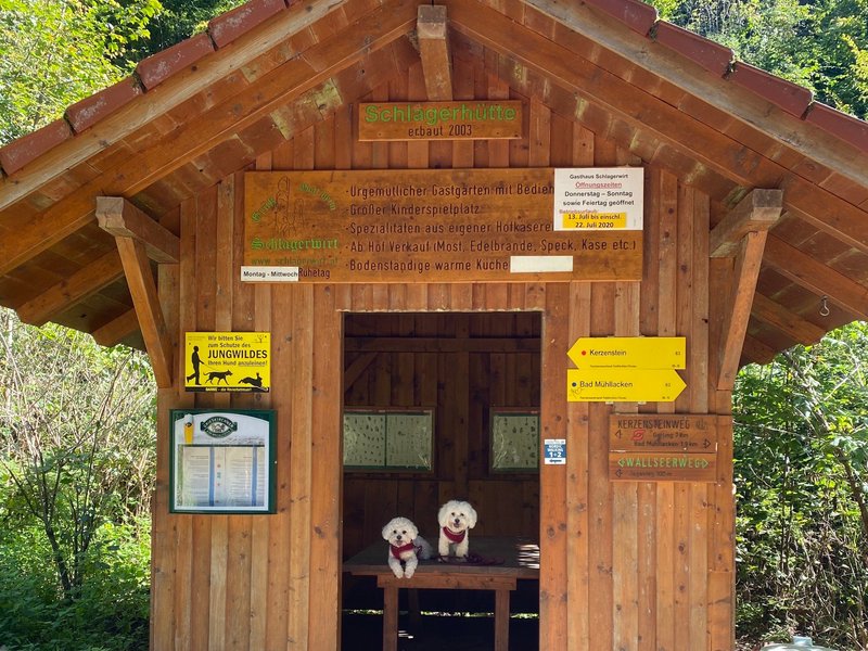 2025년 오스트리아 Feldkirchen an der Donau 여행정보 - Tripadvisor - Feldkirchen an der Donau 여행