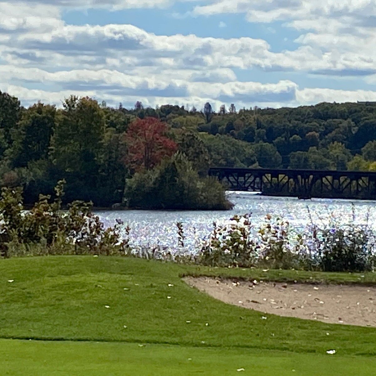 GOLF CLUB AT THORNAPPLE POINTE (Grand Rapids) All You Need to Know