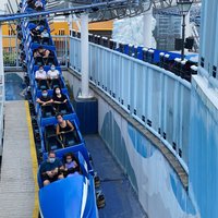 Ocean Park (Hong Kong) - All You Need to Know BEFORE You Go