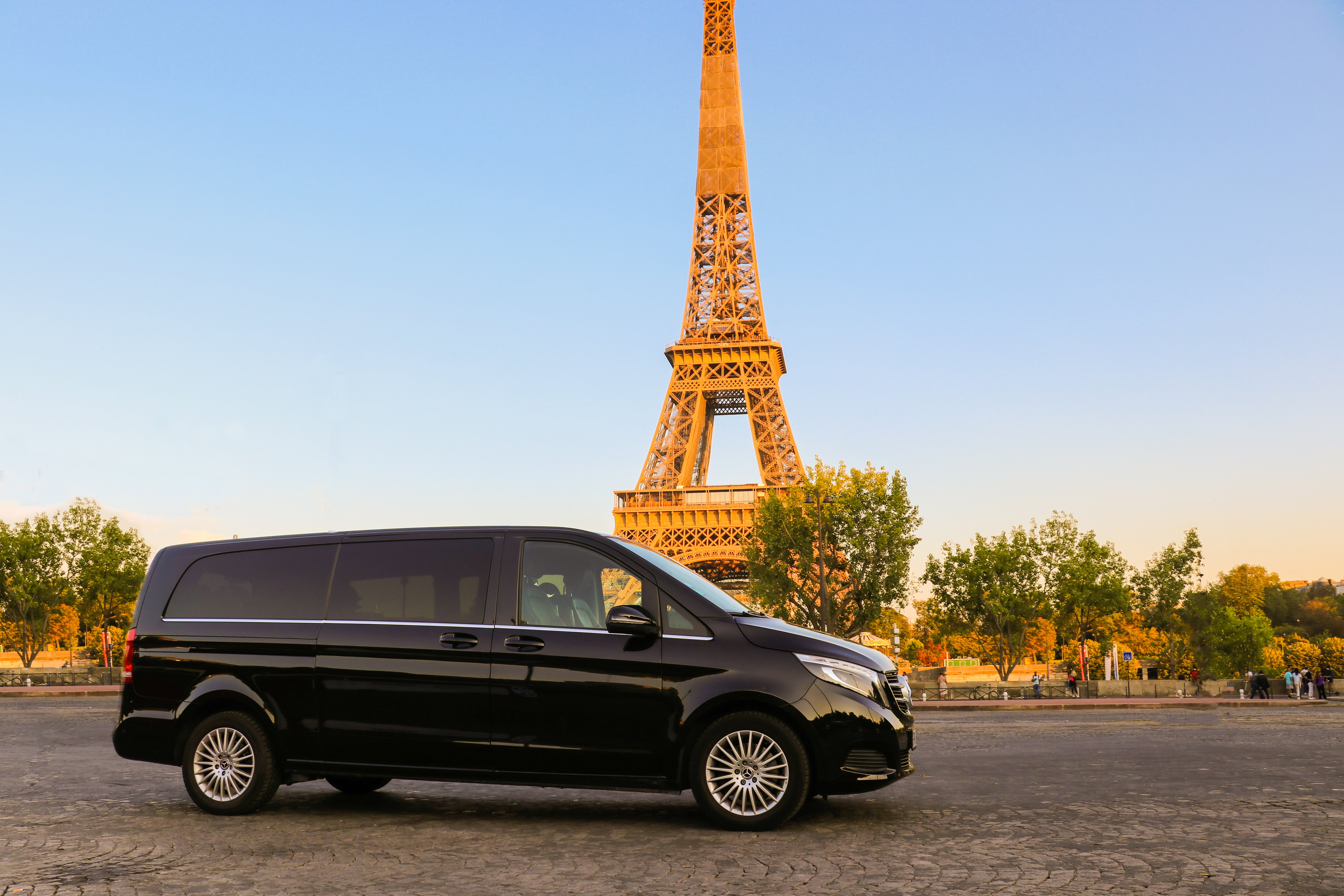 Are Dogs Allowed In Taxis In Paris