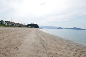 プール & ビーチ