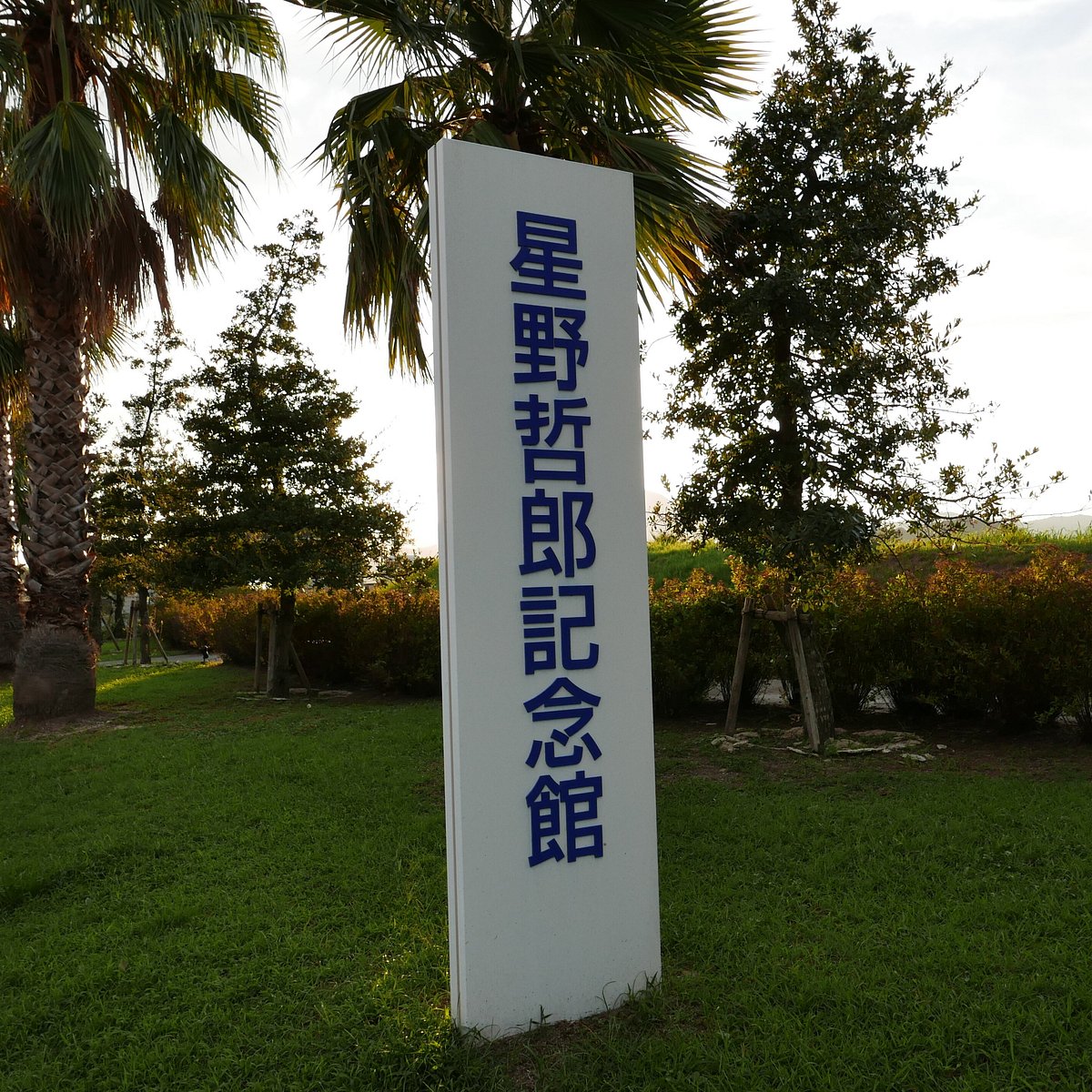 My Image 14