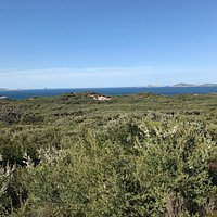 Glennie Lookout