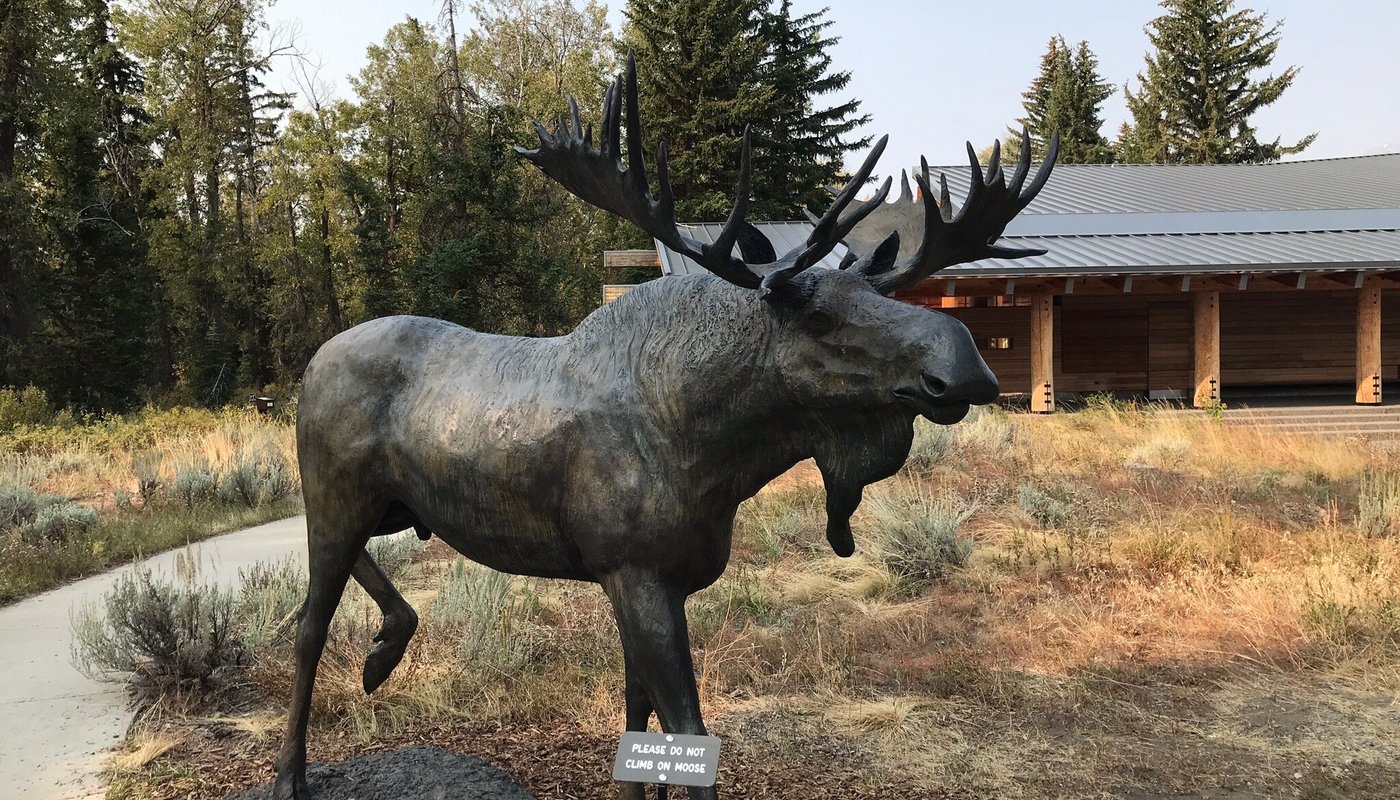 Jenny Lake Visitor Center - 무스 - Jenny Lake Visitor Center의 리뷰 - 트립어드바이저