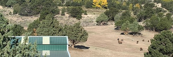 Packages - Mountain Goat Lodge