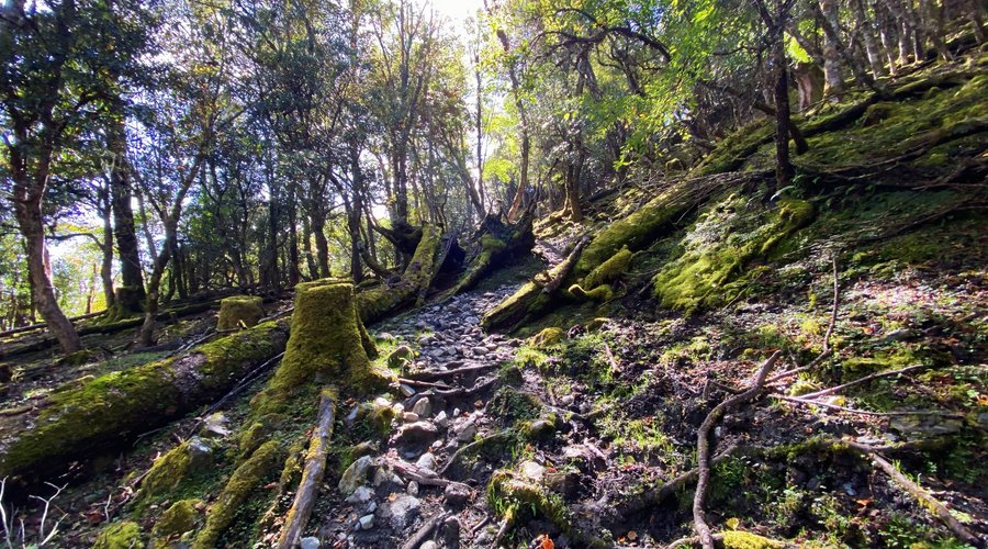 Hiking route