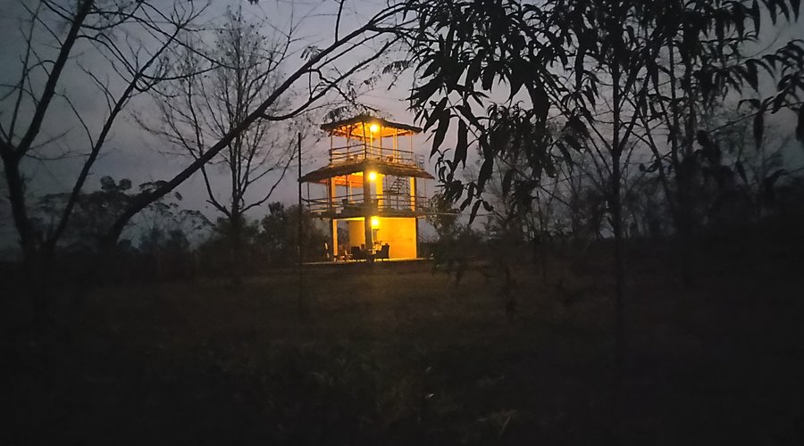 Animal Watch Tower