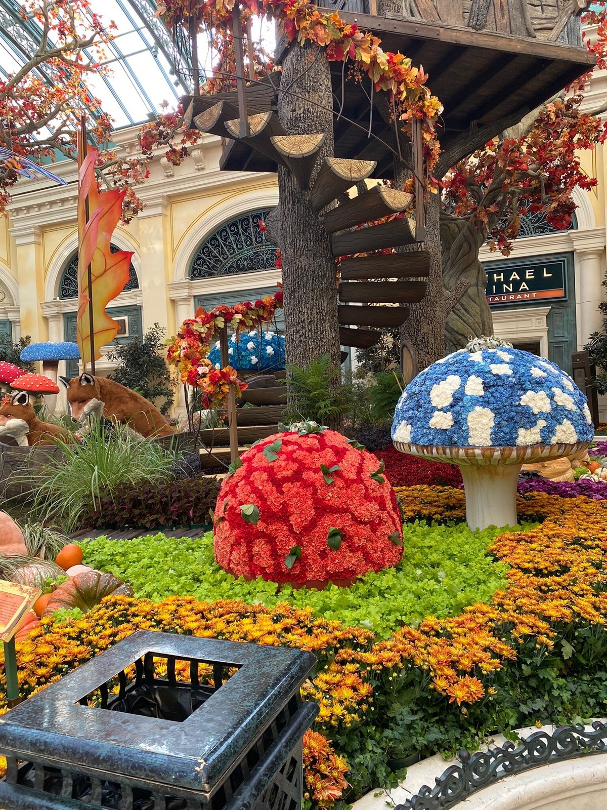 bellagio-conservatory-botanical-garden-las-vegas-all-you-need-to