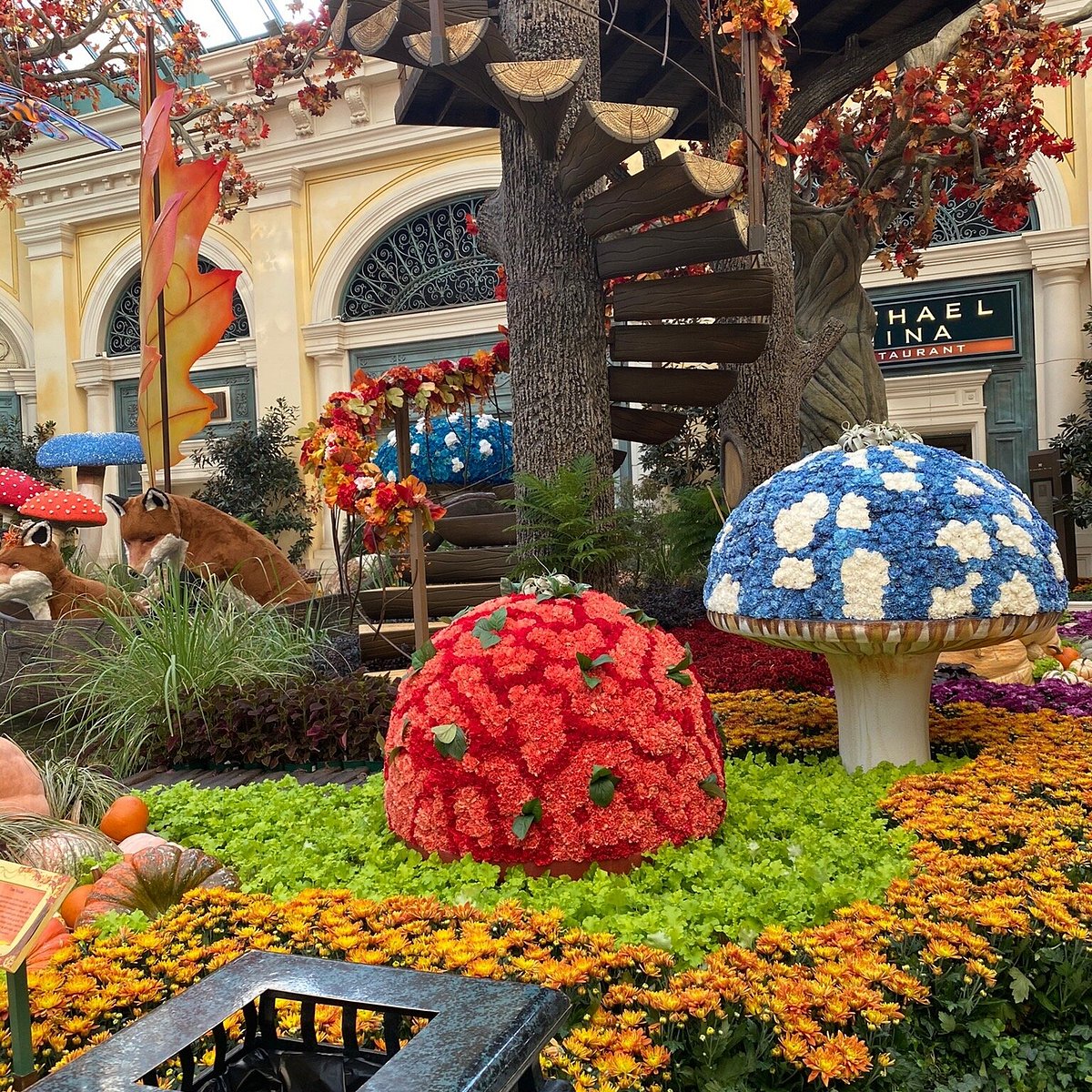 Bellagio Conservatory & Botanical Garden - All You Need to Know