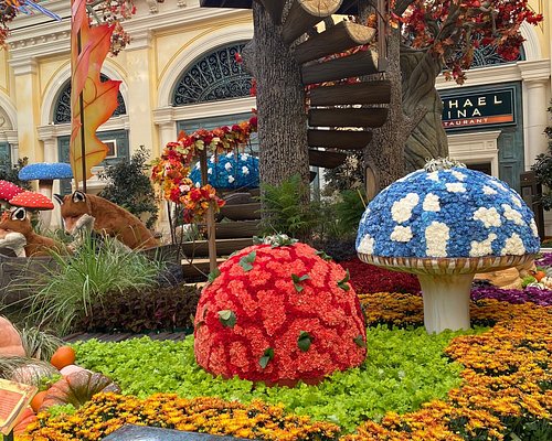 THE 5 BEST Las Vegas Gardens (Updated 2023) - Tripadvisor