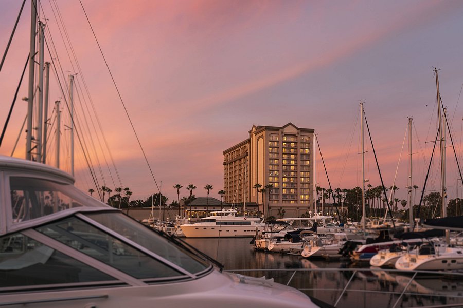 The Ritz Carlton Marina Del Rey Updated 21 Prices Hotel Reviews Ca Tripadvisor The Ritz Carlton Marina Del Rey Updated 21 Prices Hotel Reviews Ca Tripadvisor