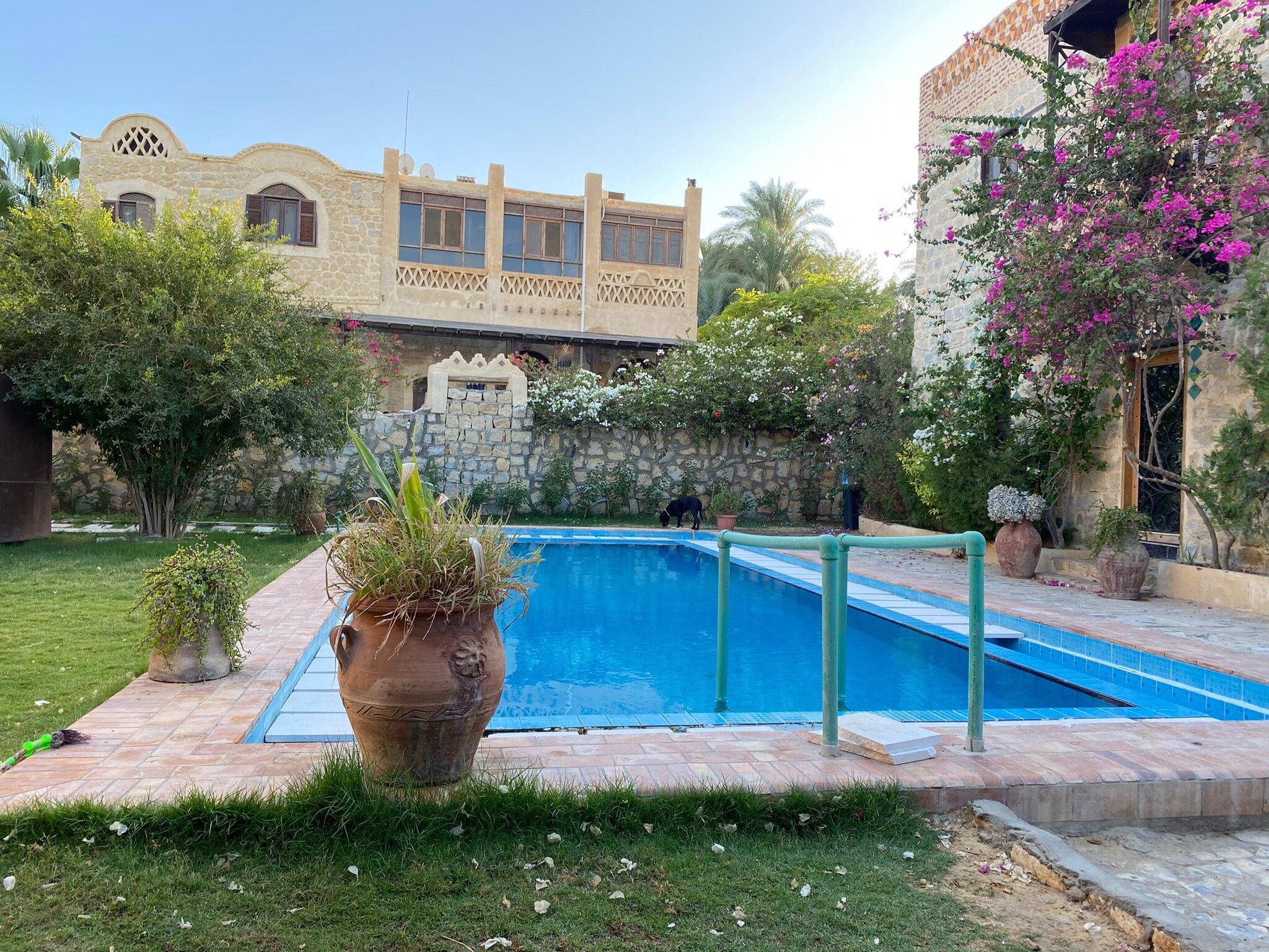 ZAD EL MOSAFER GUEST HOUSE Prices Lodge Reviews