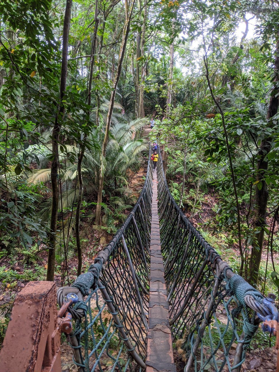 kl-selangor-hiking-places