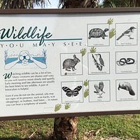 Sign describing the wildlife in the area