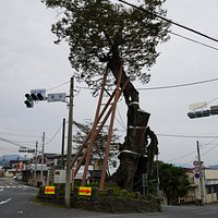 残されたケヤキの大木