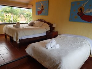 Habitación y suite