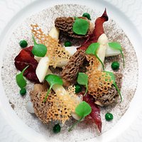 morilles