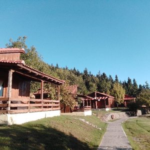 Δασικό Χωριό Λιβαδάκι