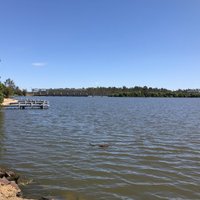 Yarrawonga Foreshore: All You Need to Know BEFORE You Go