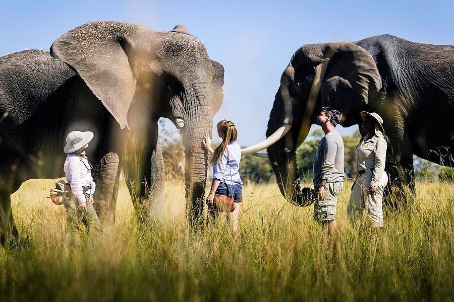 Tranquil Africa Safaris image