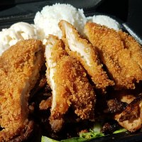 Chicken Katsu and Teriyaki Chicken