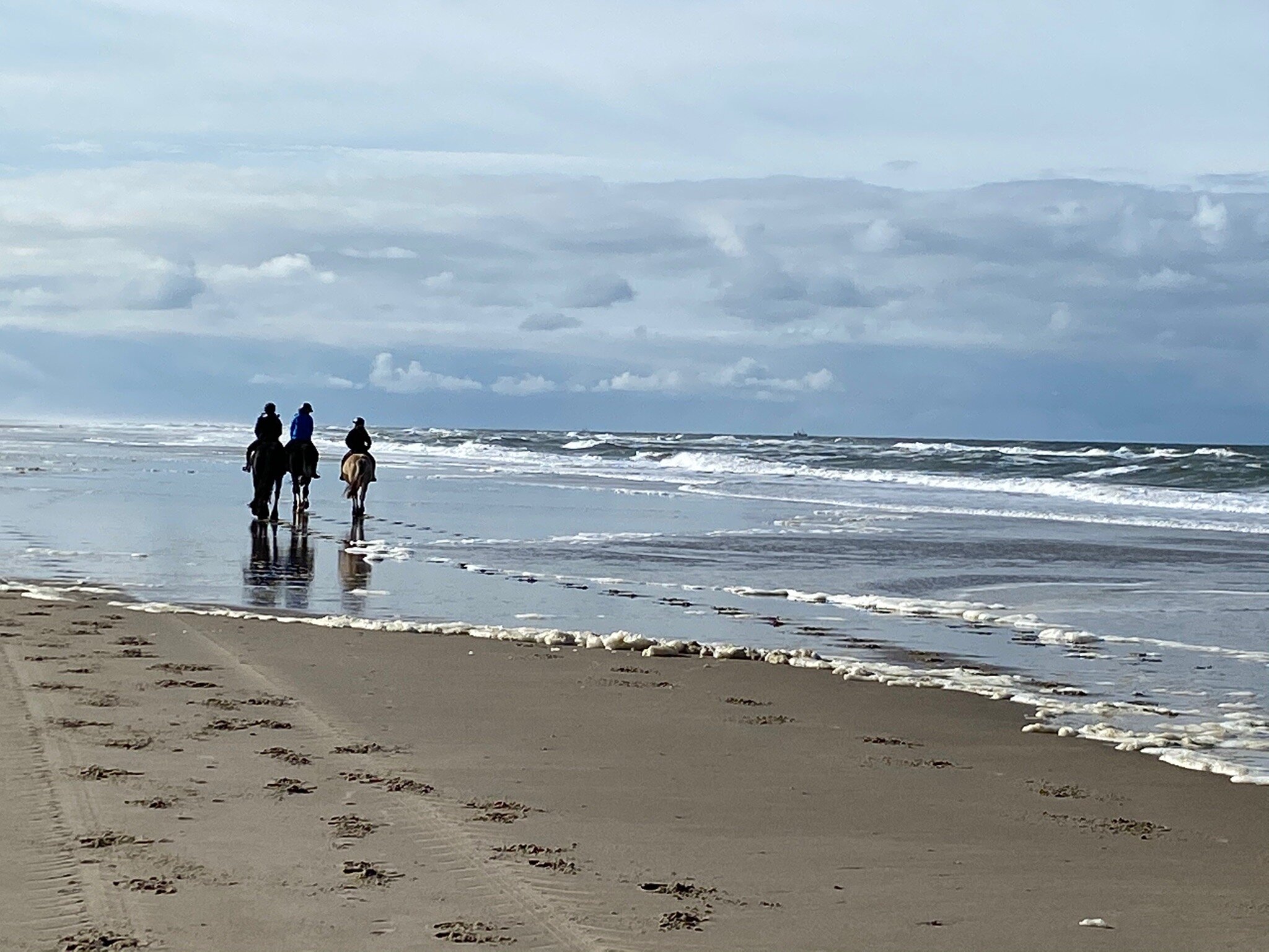 Manege De Seeruyter (Vlieland, Belanda) - Review - Tripadvisor