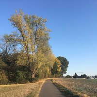 Herrliches Naherholungsgebiet im Kölner Süden mit Auenwald