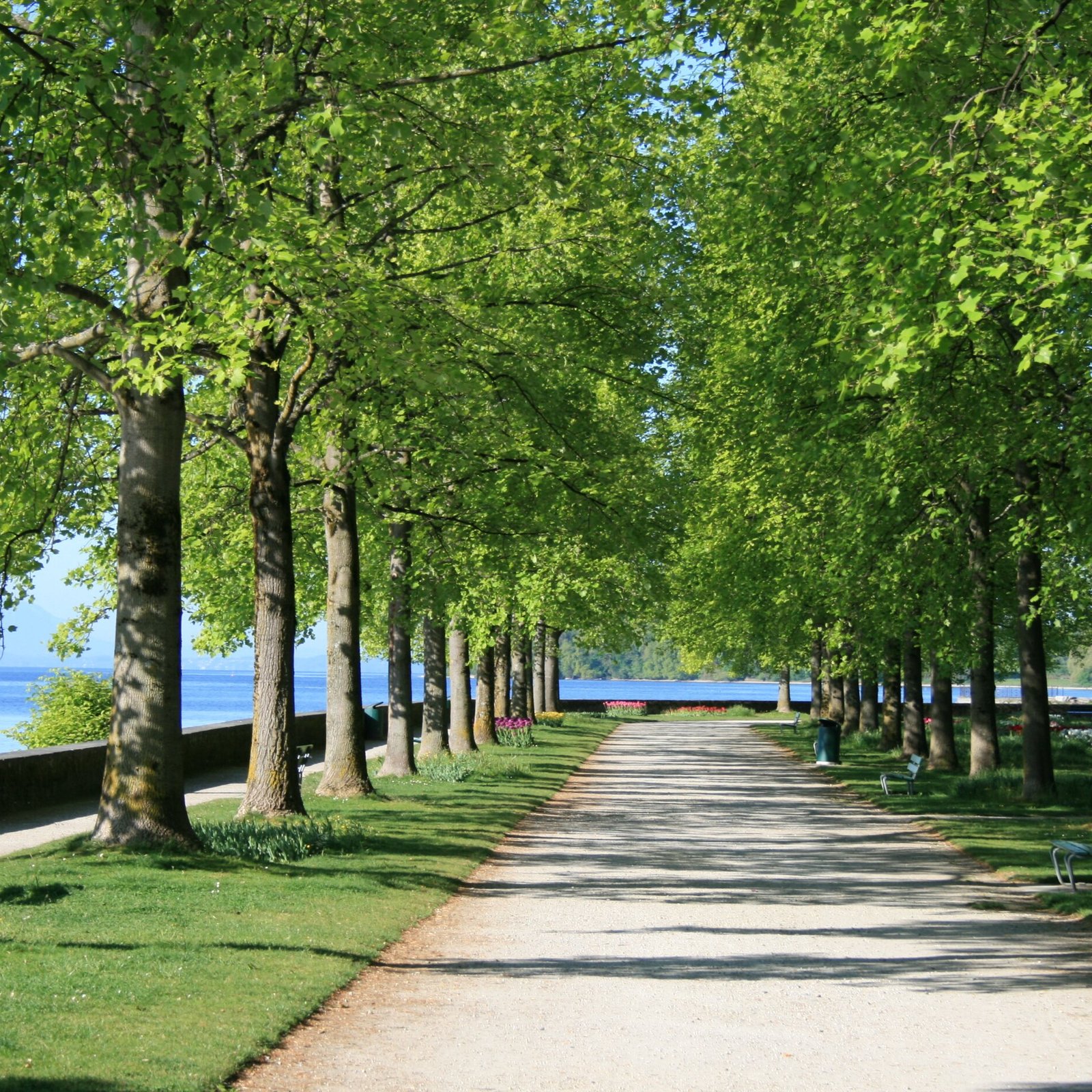 Parc De L Independance Morges 22 All You Need To Know Before You Go With Photos Tripadvisor
