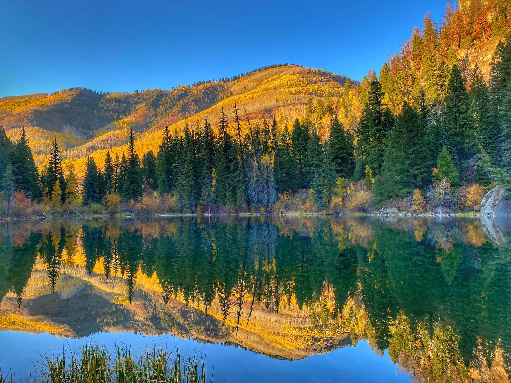 Crystal Mill (Gunnison) - All You Need To Know BEFORE You Go