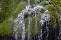 Bigar Cascade Falls Poneasca 2021 All You Need To Know Before You Go With Photos Tripadvisor