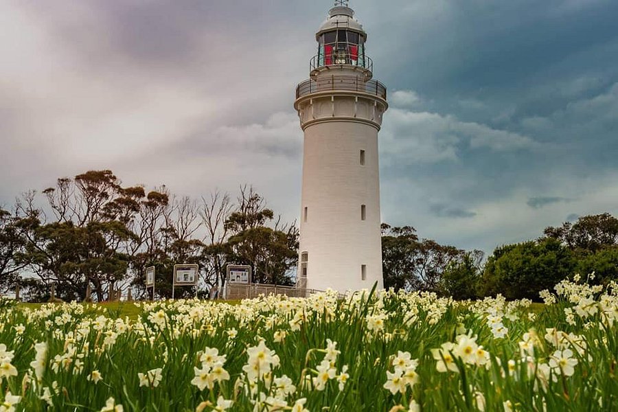 Table Cape Lighthouse Tours image