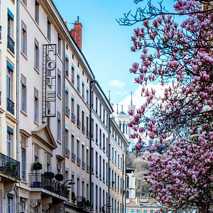 Hotel Des Artistes in Lyon, image may contain: City, Neighborhood, Street, Urban