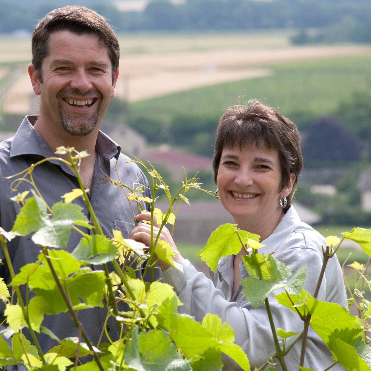 Domaine R. Dubois & Fils (Premeaux-Prissey) - All You Need to Know ...