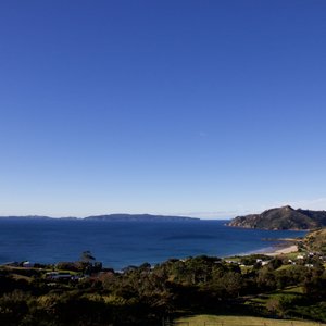 View from the Rawhiti Cottage, Kaeppeli's Kuaotunu.