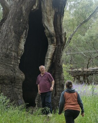 Sandhills Artefacts (Narrandera): All You Need to Know