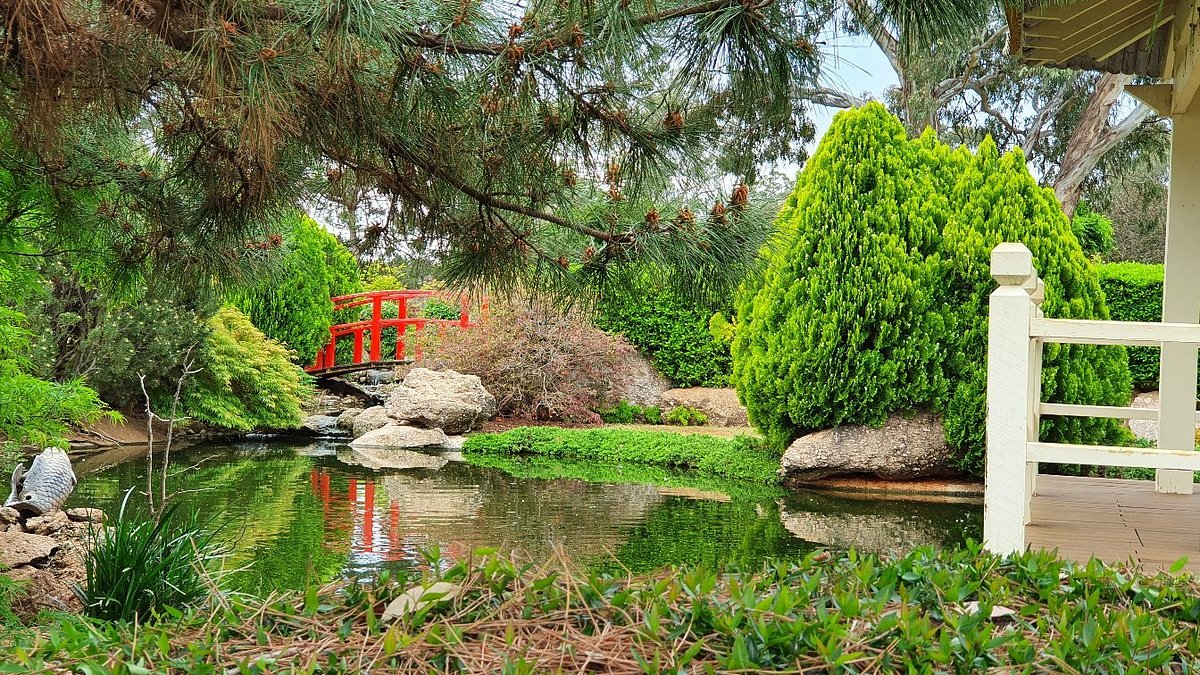 The beautiful Osawano Japanese Gardens in Wellington