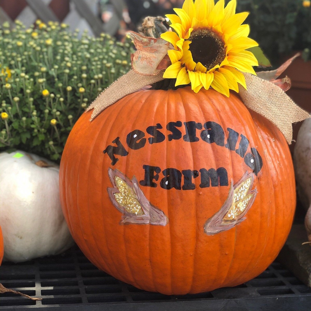 NESSRALLA FARMS (Halifax) - All You Need to Know BEFORE You Go 
