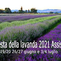 Festa della lavanda 2021