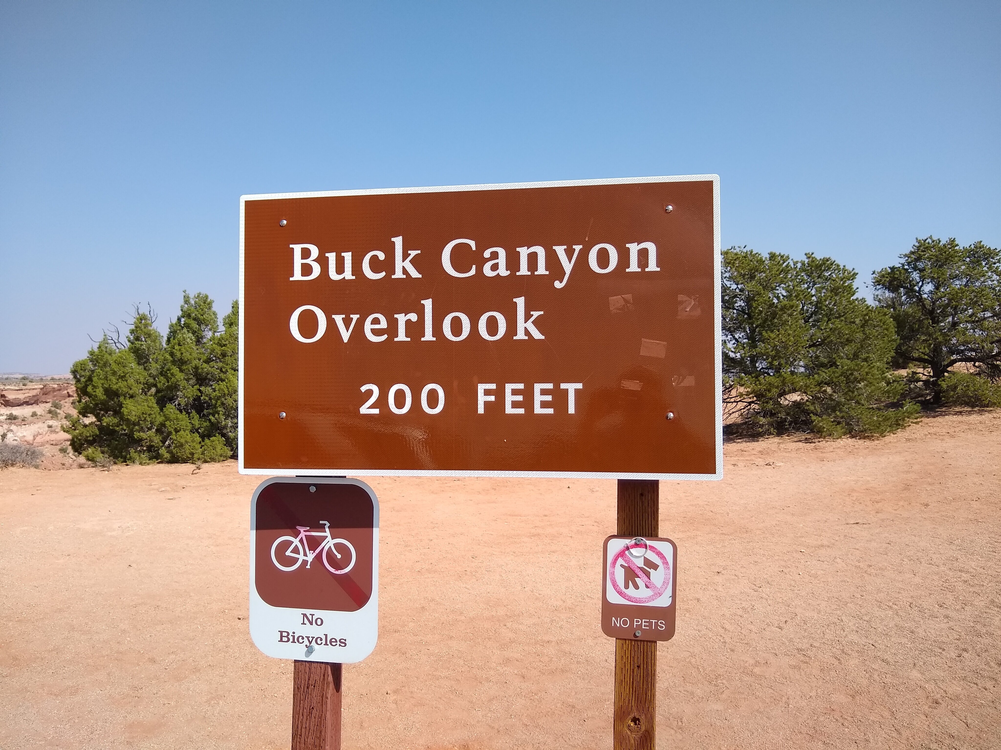 Buck 2025 canyon overlook