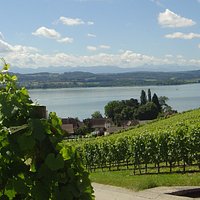 Vully Tourisme à Sugiez (FR)