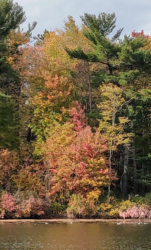Pennsylvania review images