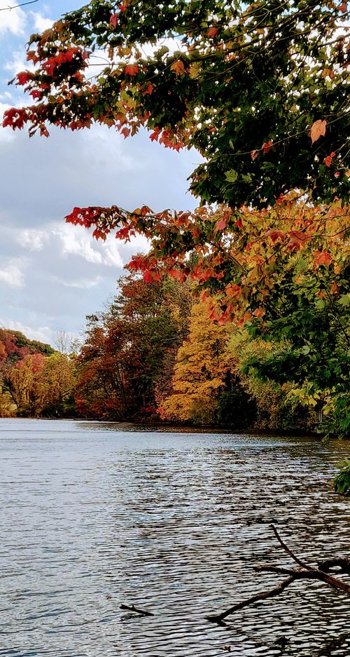 Pennsylvania review images