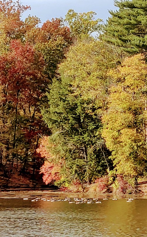 Pennsylvania review images